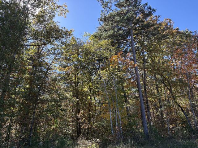 0 Colony Rd, Gruetli Laager, TN 37339