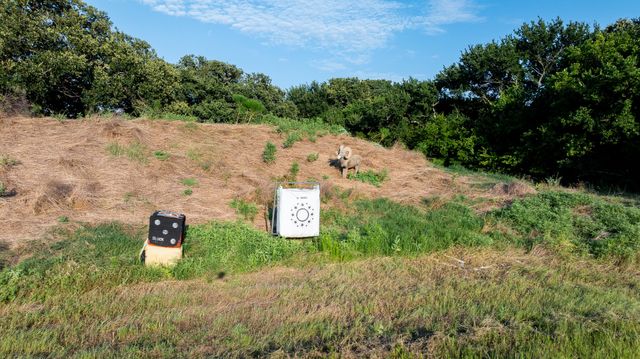 360 Pop Noah Road, Collinsville, TX 76233