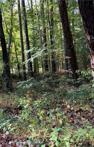 2531 Mohawk Trail, Acworth, GA 30102