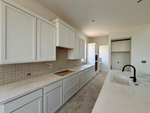 1329 White Daisy LN, Georgetown, TX 78628