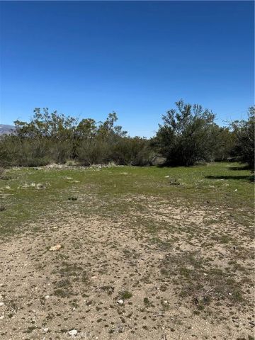 44805 Chapman, Anza, CA 92539