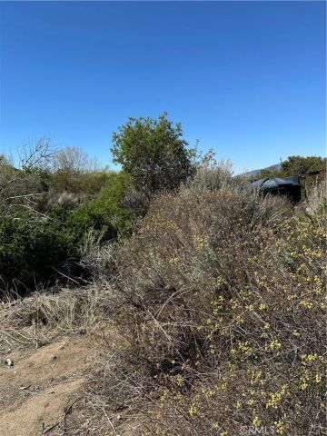 44805 Chapman, Anza, CA 92539