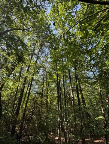Tract 1J The Bear Boulevard, Tamassee, SC 29686