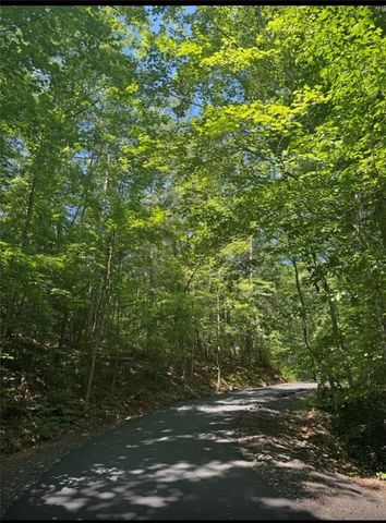Tract 1J The Bear Boulevard, Tamassee, SC 29686