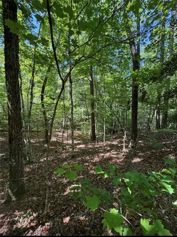 Tract 1J The Bear Boulevard, Tamassee, SC 29686