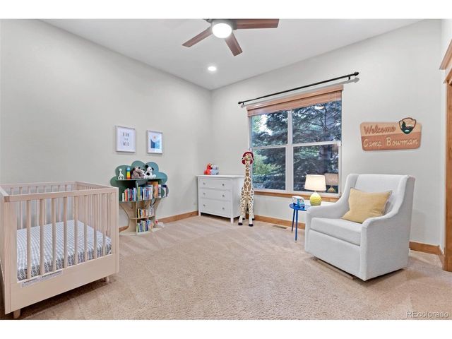 2788 Oak Vista Ln, Castle Rock, CO 80104