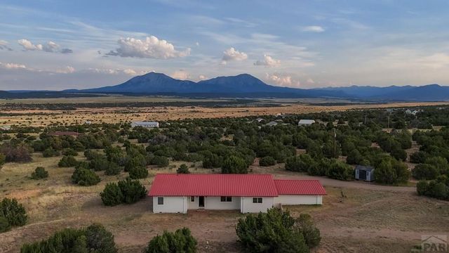 80 Moose Trail, Walsenburg, CO 81089