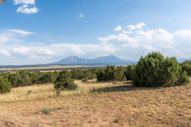 80 Moose Trail, Walsenburg, CO 81089