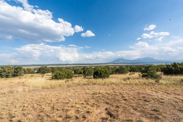 80 Moose Trail, Walsenburg, CO 81089