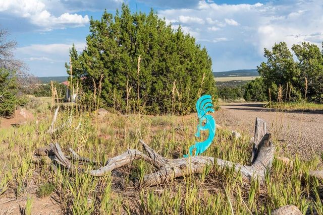 80 Moose Trail, Walsenburg, CO 81089