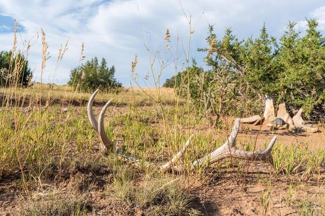 80 Moose Trail, Walsenburg, CO 81089