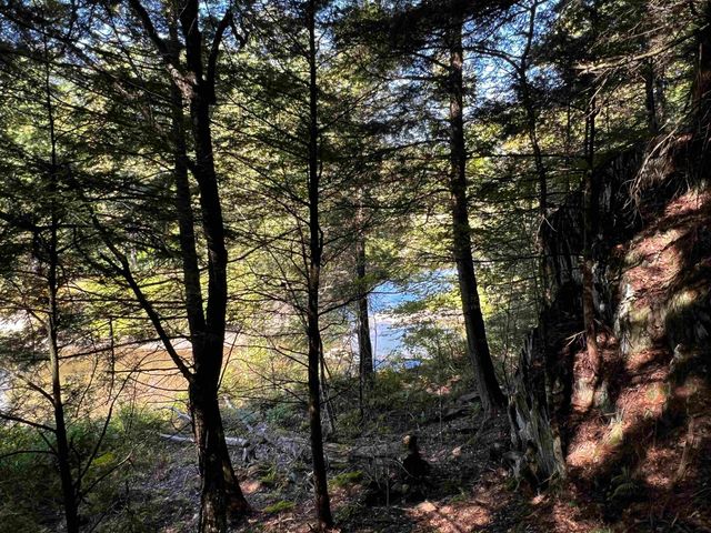 10 Castle Lane, Westford, VT 05494