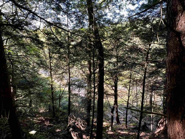 10 Castle Lane, Westford, VT 05494