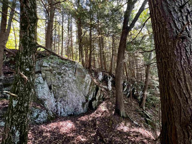 10 Castle Lane, Westford, VT 05494