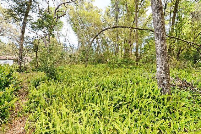 222 W Inverness Boulevard, Inverness, FL 34452