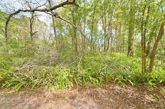 222 W Inverness Boulevard, Inverness, FL 34452