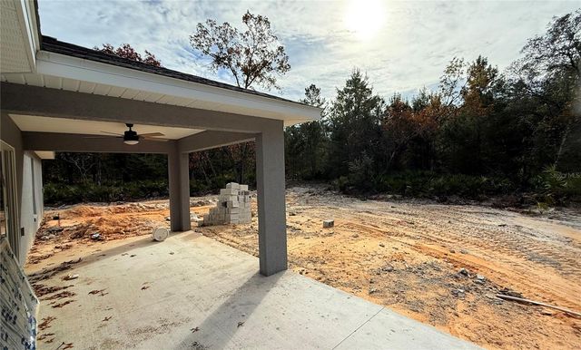 120 GUAVA PASS, Ocklawaha, FL 32179