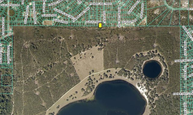 120 GUAVA PASS, Ocklawaha, FL 32179