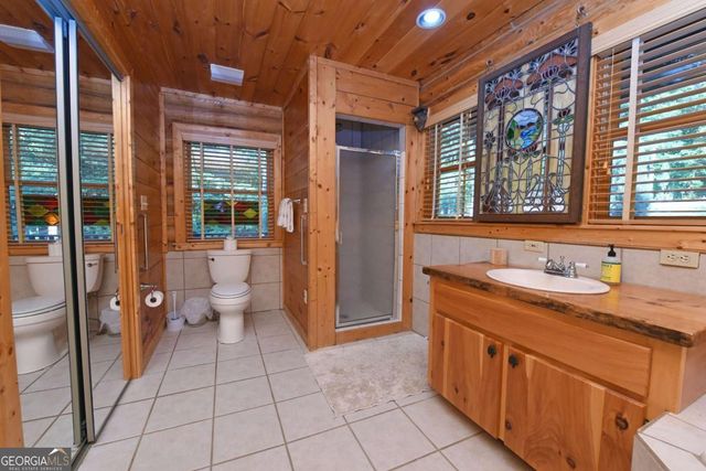 2682 Douthit Road, Mineral Bluff, GA 30559