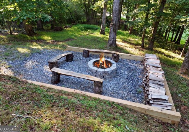 2682 Douthit Road, Mineral Bluff, GA 30559