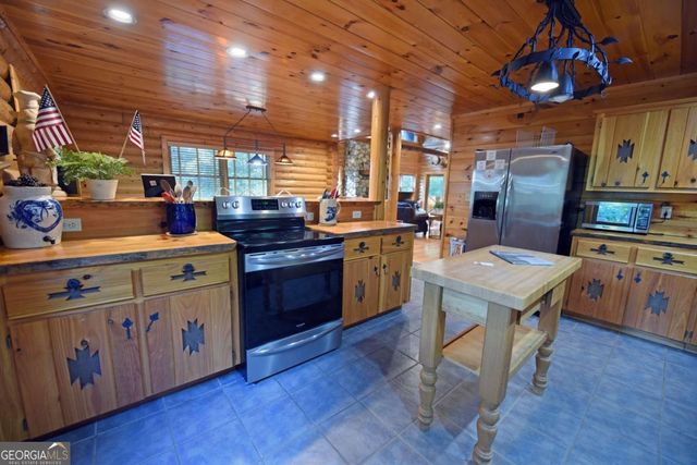 2682 Douthit Road, Mineral Bluff, GA 30559