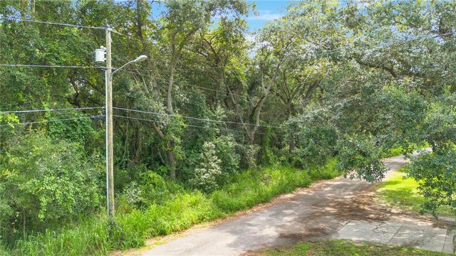 AVALON ROAD 53, Winter Garden, FL 34787