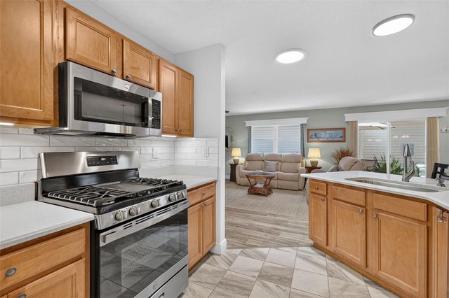 356 KATHERINE PLACE, The Villages, FL 32162