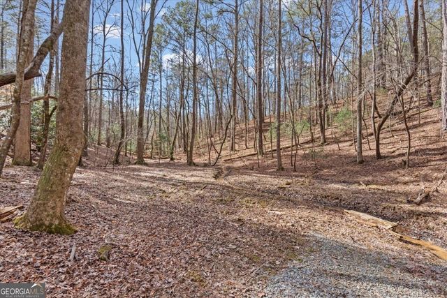 61 Grove Lane, Ellijay, GA 30540