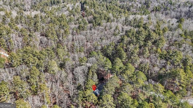 61 Grove Lane, Ellijay, GA 30540