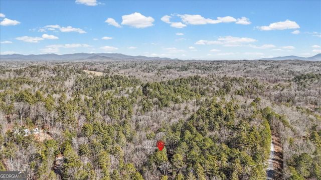 61 Grove Lane, Ellijay, GA 30540