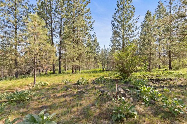 6601 Stony Way, Nine Mile Falls, WA 99026
