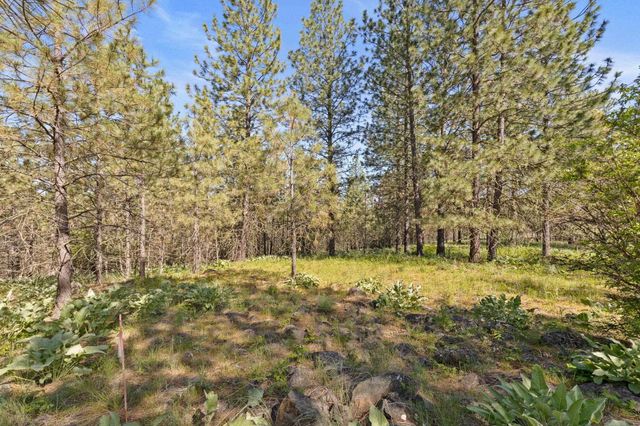 6601 Stony Way, Nine Mile Falls, WA 99026