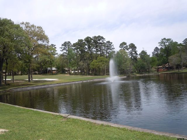 117 Cottonwood Cove, Holly Lake Ranch, TX 75765