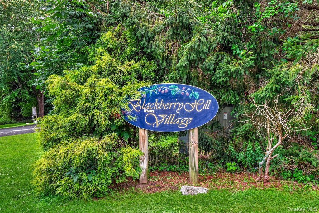 803 Village Drive, Brewster, NY 10509 — exterior