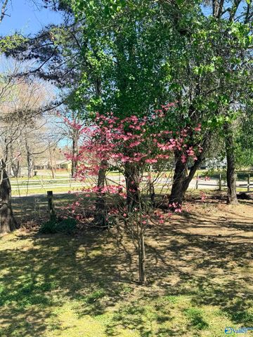 20393 Elkton Road, Athens, AL 35614