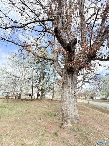 20393 Elkton Road, Athens, AL 35614