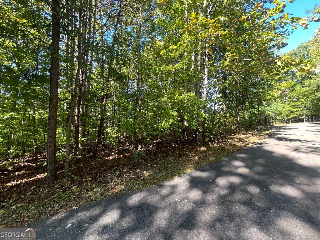 0 Lancelot Loop, Clayton, GA 30525 — photo 2