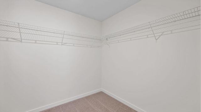 3909 Hawks Creek Drive, Apison, TN 37302