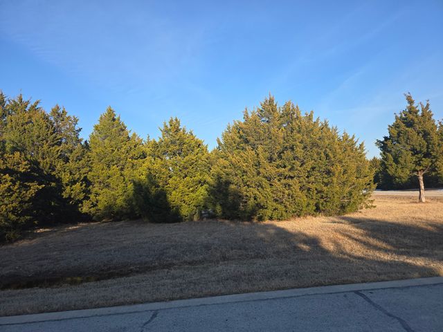 tbd Pine Hills Lane, Gordonville, TX 76245