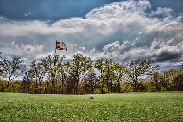 tbd Pine Hills Lane, Gordonville, TX 76245