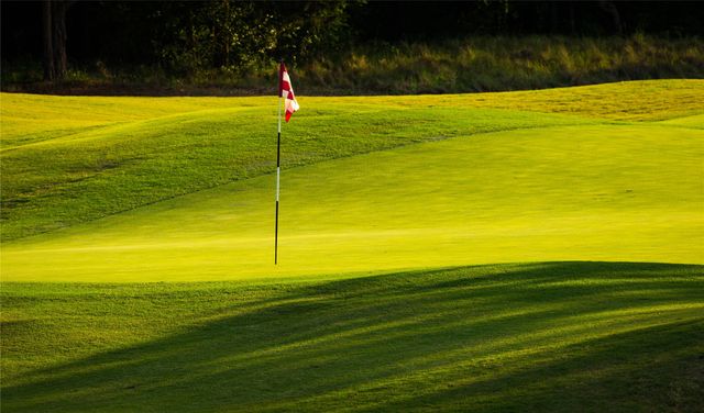 tbd Pine Hills Lane, Gordonville, TX 76245