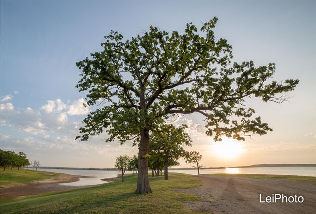 tbd Pine Hills Lane, Gordonville, TX 76245