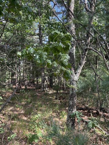 1369 County Road C, Arkdale, WI 54613
