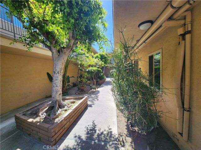 7925 Vineland 26, Sun Valley, CA 91352