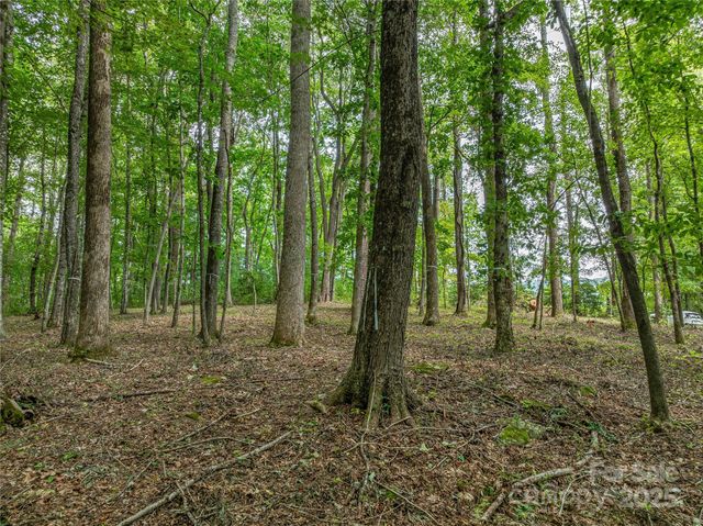 644 Walnut Valley Parkway, Arden, NC 28704