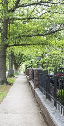 101 S Hanover Avenue 5M, Lexington, KY 40502