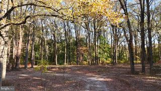 393 PORT ROYAL AVE, Philadelphia, PA 19128