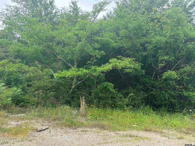 TBA E Hwy 31, Tyler, TX 75705