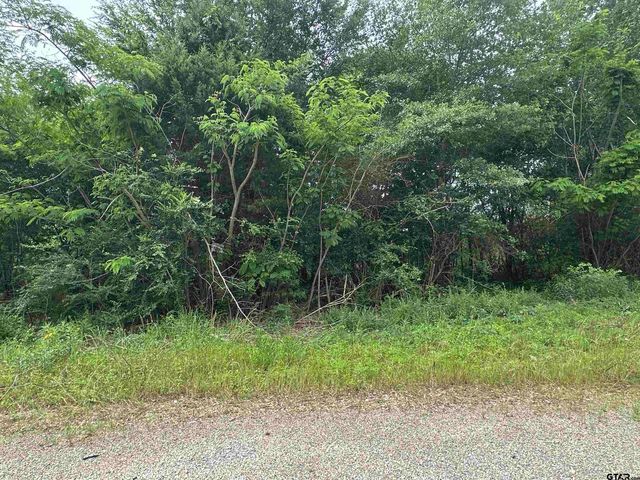 TBA E Hwy 31, Tyler, TX 75705