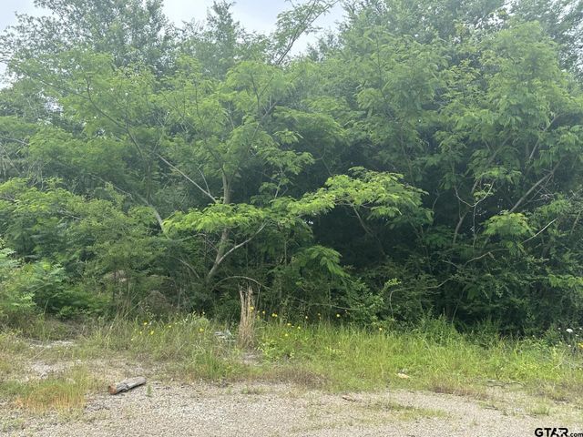 TBA E Hwy 31, Tyler, TX 75705